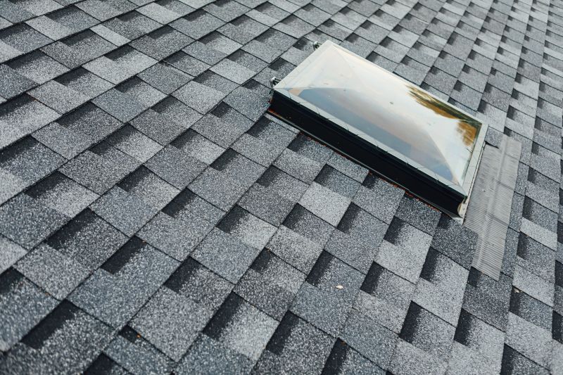 Existing Roof Condition